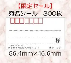 【限定セール】宛名シール☆シンプル☆300枚