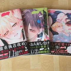 変態ストーカーに狙われてます　1～3巻セット