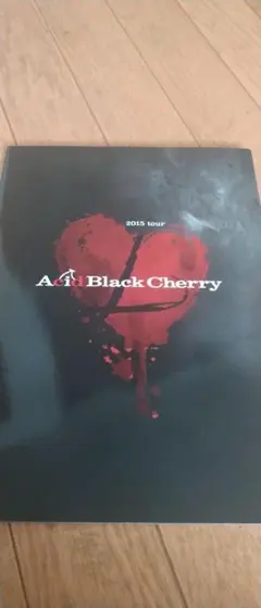AcidBlackCherry ツアーパンプレットL
