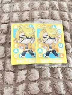 カラフルピーチ　たっつん　ウエハース２　トレカ　２枚セット