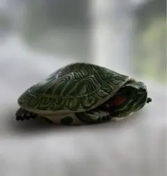 カメ　手足が動く　フィギュア