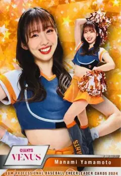 Item thumbnail for item 8b290863-bc91-4a3b-ae45-c22a8b2dfd0c