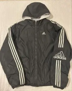 Item thumbnail for item 94319d94-4cf5-4b1f-b00d-40eaf5fd74bc