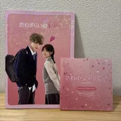 「恋わずらいのエリー」ORIGINAL SOUNDTRACK パンフレット