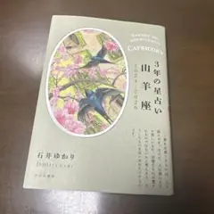 3年の星占い 山羊座 2024年―2026年