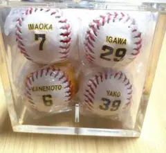 阪神タイガース　ミニボール８個セット　ケース付き