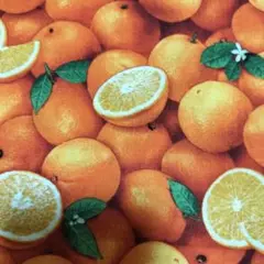 USAオレンジ柄生地