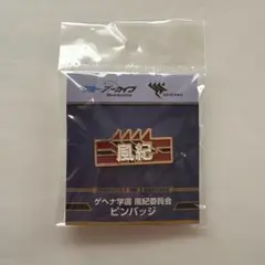 ブルーアーカイブ ゲヘナ学園 風紀委員会 ピンバッジ ブルアカ 空崎ヒナ