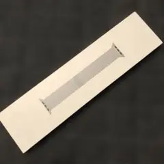 【純正品】Apple Watch アップルウォッチ ステンレスベルト