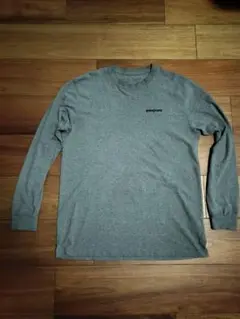 patagonia グレー ロンT 長袖　Mサイズ バックプリント