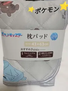 新品⭐ポケットモンスター 冷感 枕パッド 43×63cm ヌオー/ウパー柄②