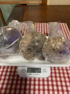 岐阜県松茸冷凍