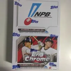 Item thumbnail for item c5cb9468-69b4-4803-9de7-f692e30e7242