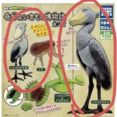 奇妙ないきもの博物誌 第2頁 ハシビロコウA.B