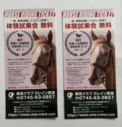 TK　クレイン乗馬クラブ　ジュニア会員騎乗回数券 乗馬クラブCRANE 騎乗回数券 ジュニア会員（平日用）3枚 - メルカリ