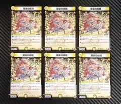 デュエルマスターズ　笑栄の妖精　エムアンドエーフェアリー　6枚セット　25RP1