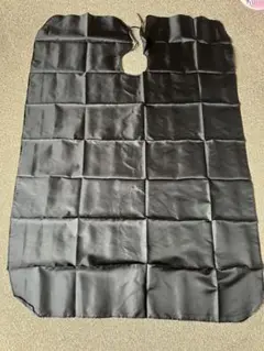 Item thumbnail for item 14f97115-d3d8-4a7f-be56-5e72e0b13044