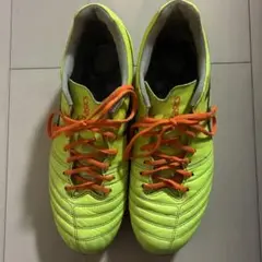 アシックス DS LIGHT X-FLY PRO 2 PARIS 25センチ