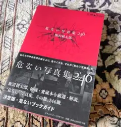 危ない写真集246