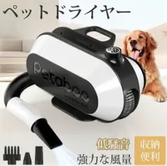 Item thumbnail for item 871e3d8d-c72d-4b52-abe1-2e8212b7d56f