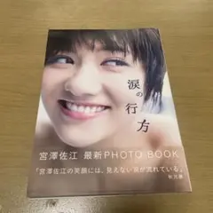 涙の行方 宮澤佐江フォトブック　初版