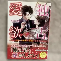 独占愛欲 ～一途なエリート社長の花嫁に任命されました～