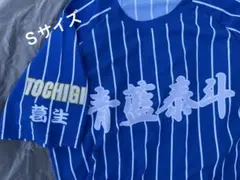 青藍泰斗高校 ストライプ 応援ユニフォーム　Ｓサイズ