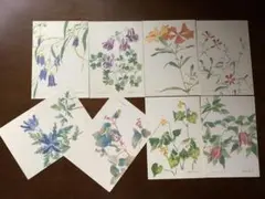 やまくさ　東京山草会