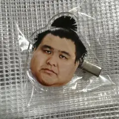 大相撲ガチャ フェイスヘアピン ヘアクリップ 高安 関