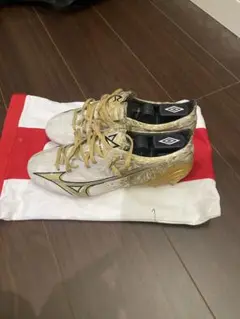Mizuno α japan 24.0cm