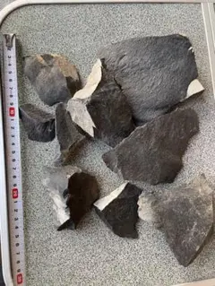 サヌカイト 磬石 カンカン石 原石 ヤジリ 包丁①