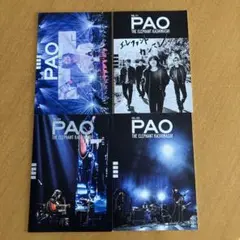 エレファントカシマシ　パオ