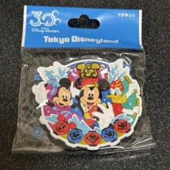 ディズニーランド30th 爽涼鼓舞 マグネット