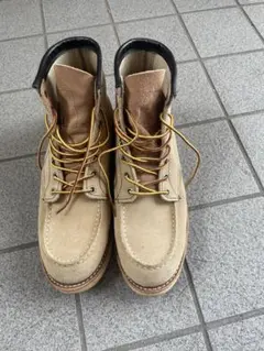 アイリッシュセッター　スエード8173