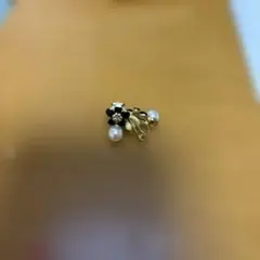 Item thumbnail for item 9c5ddf3f-5d25-46c6-9f8c-fdf943f61648