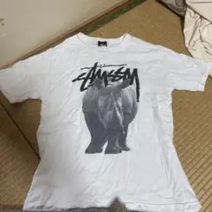 Stüssy TシャツとロンT