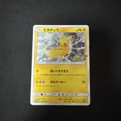ピカチュウ：「ピカピカ！ピカチュウ！プロモカードキャンペーン！」 PROMO …