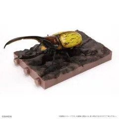 いきもの大図鑑　09 ヘラクレス　オキシデンタリス