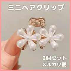 Item thumbnail for item 412dd671-11fe-41e6-91dc-680c87d6820a
