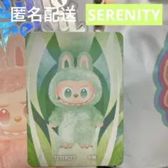 POPMART ラブブ ビッグイントゥエナジー SERENITY