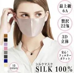 新品未使用　シルク100%マスク　フィルター20枚おまけ