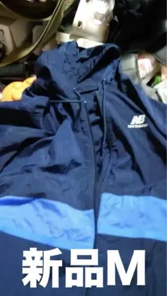 Item thumbnail for item 1663c7e3-6a6c-42e6-bfb1-3a2a7ed1fdc8