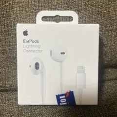 Apple EarPods Lightning Connector iPhone