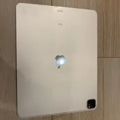 iPad Pro本体のみ 第4世代 512GB ジャンク品