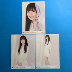 Item thumbnail for item 4329e731-50b1-426f-b154-2a645aae758e