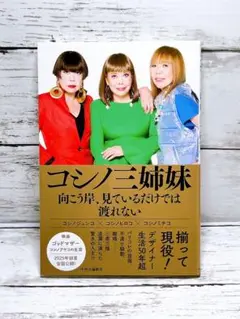 コシノ三姉妹 向こう岸、見ているだけでは渡れない
