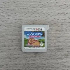 NINTENDO 3DSこびとづかん こびと観察セット