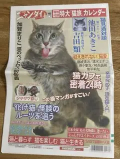 日刊ニャンダイ 2024年2月 15日号