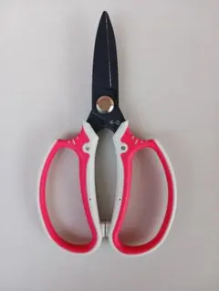 Item thumbnail for item 96322f1a-a69b-4711-b6b7-d05372844e7c
