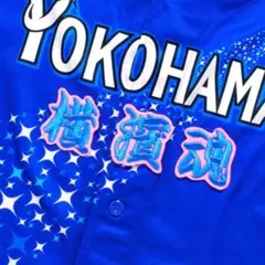 Item thumbnail for item 72676634-9fe2-48dc-9648-fee691f20bd0